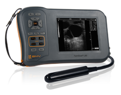 Refurbished BovyEquiScan 60L Veterinary Ultrasound | KeeboVet