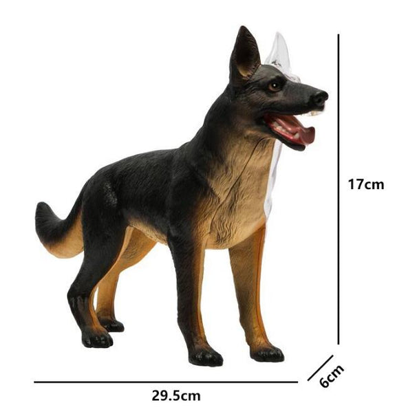 Veterinary 4D Dog Anatomical Model
