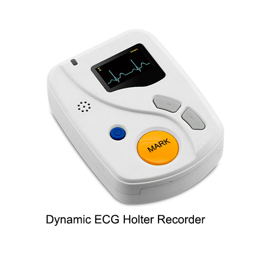 Portable 12 Lead ECG Holter Recorder