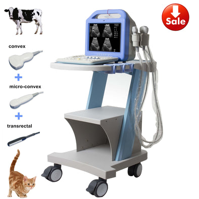 Three probes(convex+trans-rectal+micro-convex) pig horse cattle cat sheep cattle dog farm use animal ultrasound, veterinary ultrasound, ve