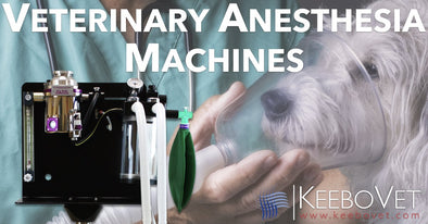 Your Guide To Buying the Perfect Anesthesia Machine