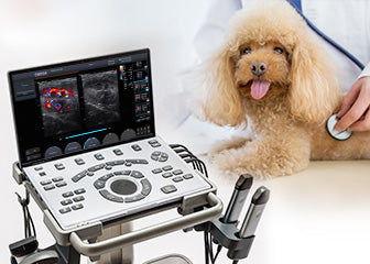 SonoAir Vet - Color Doppler