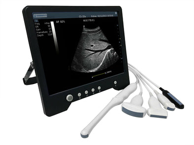 Reptiles or Equine Veterinary 15"Touch Screen Ultrasound with Linear Array Probe