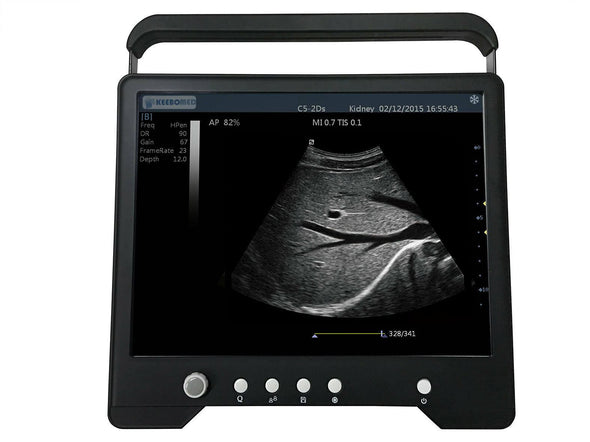 Reptiles or Equine Veterinary 15"Touch Screen Ultrasound with Linear Array Probe