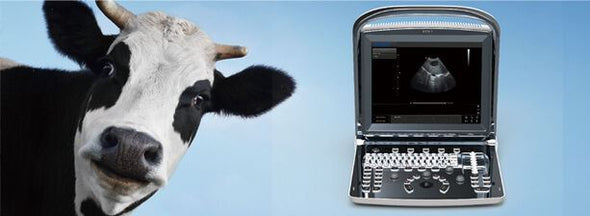Bovine, Equine, Veterinary Portable Ultrasound Machine, ECO1Vet with two probes