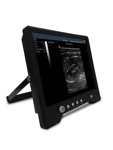 Veterinario Touchscreen Ultrasound&micro-convex Sonda per S Animali, Keebomed