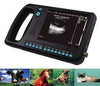 WED-3000Vet Handheld Ultrasound Scanner For All Animal Exams