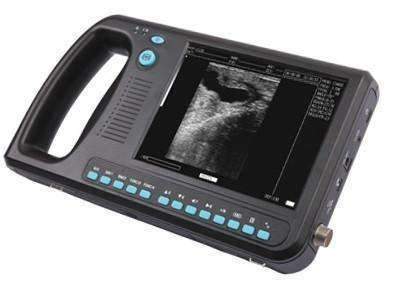 WED-3000Vet Handheld Ultrasound Scanner For Veterinary