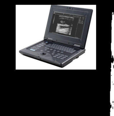 WED-2018V Veterinary Laptop Ultrasound for Bovine, Equine with Rectal Probe