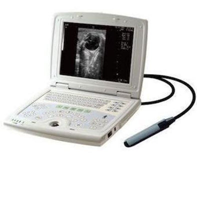 KX5000V Veterinary Laptop Ultrasound-Bovine/Horse & Rectal Insertion Arm-Keebome