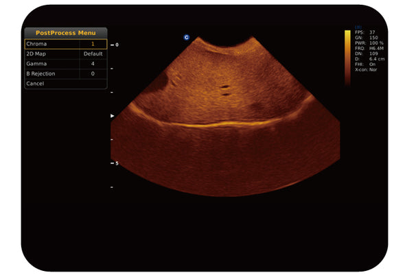 Chison ECO6Vet Color Doppler Ultrasound | Canine Liver Chroma | KeeboVet