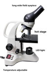 Digital display thermostat microscope