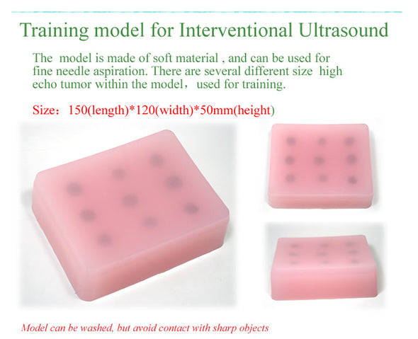 training model for interventional Ultrasound
