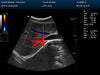 DCU30Vet Diagnostic Images