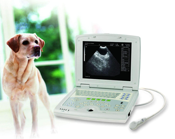 KX5000V Laptop Ultrasound Machine for Canine Exams