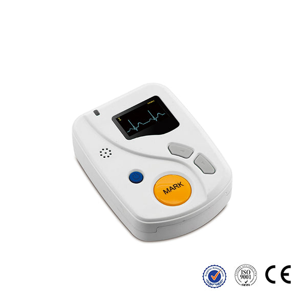 Portable 12 Lead ECG Holter Recorder