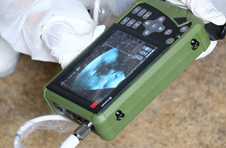 farm animal ultrasound scanner with mechanical sector probe