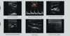 Chison SonoTouch 30Vet Animal Ultrasound Sample Images