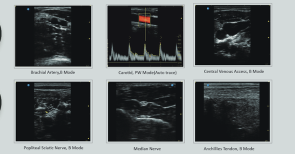 Chison SonoTouch 30Vet Animal Ultrasound Sample Images