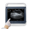 Portable Touchscreen Ultrasound