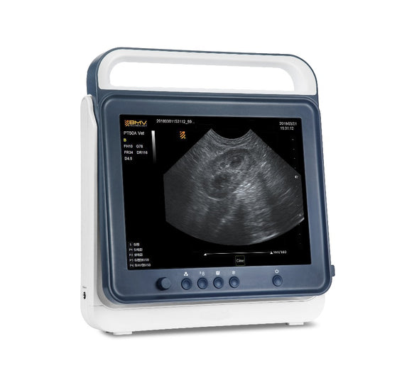 Fully-featured touch veterinary ultrasound system 