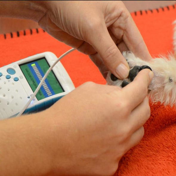 Veterinary Vascular Doppler 9mhz Flat Probe Detect Animal Blood Flow Velocity Vet Doppler Ultrasound BV520 Pet Health Products