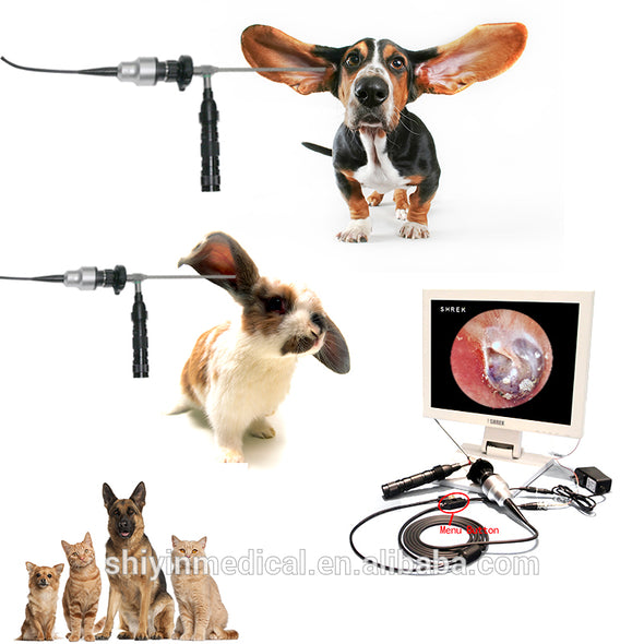 Portable Video Otoscope Veterinary