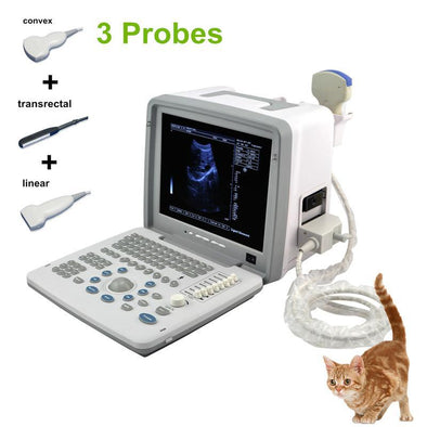 https://www.keebovet.com/cdn/shop/products/a3-vet-swine-bowine-portable-ultrasound-machine_394x.jpg?v=1571438528
