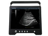 iSonoTouch 20V - Deals on Veterinary Ultrasounds
 - 2
