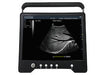 KeeboVet Veterinary Ultrasound Equipment iSonoTouch 20V