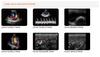 KeeboVet Veterinary Ultrasound Equipment Portable Ultrasounds QBit9VET Sample Images