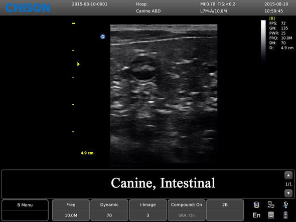 Chison ECO3 Ultrasound w/ 2 Probes and Accredited Veterinary Online Training