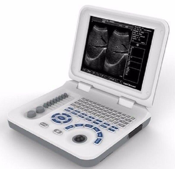 Veterinary Laptop Ultrasound