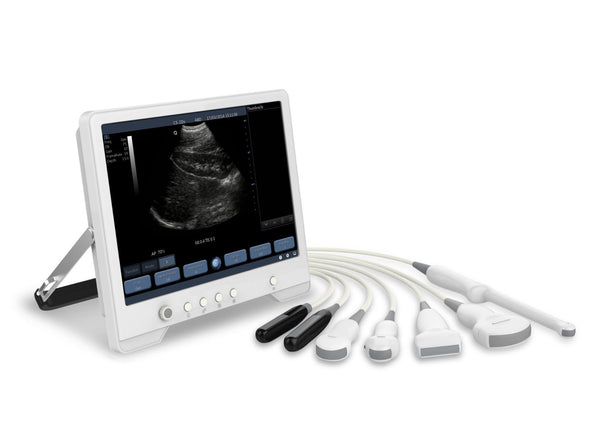 ImagePad Veterinary UltraSound.  The Image Pad