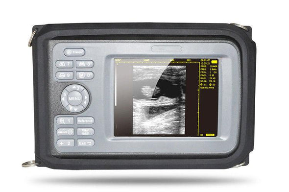 USA! Veterinary Ultrasound Scanner Handheld Scan Monitor Rectal Probe VET Clinic 190891462237