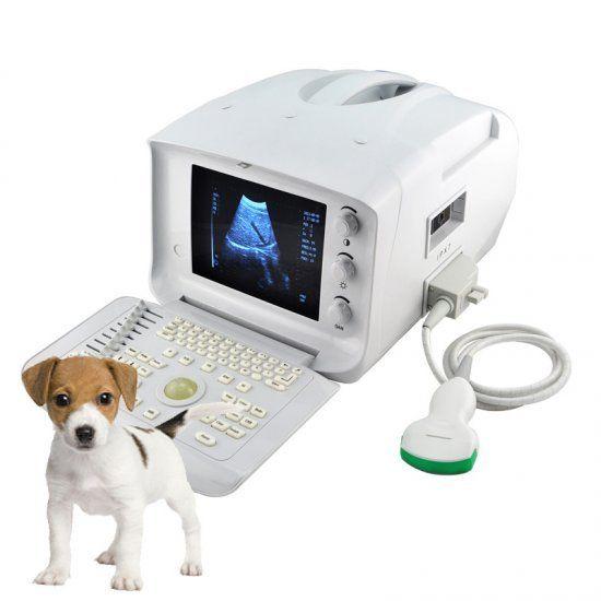 Veterinary Ultrasonic Machine Ultrasound Scanner  Convex& Rectal 2 Probe & 3D 190891814692