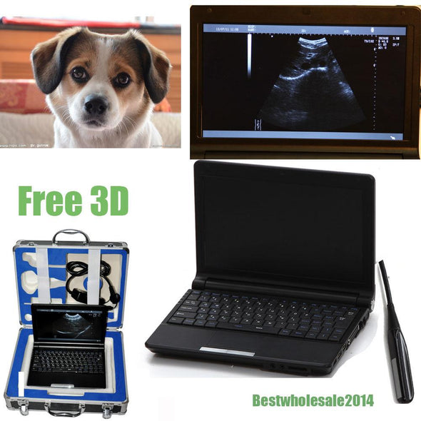 veterinary Laptop Machine Vet Ultrasound Scanner System+ Animal Rectal probe 3D  190891360397