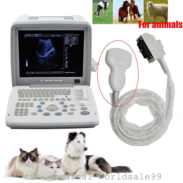 Top 12.1 Vet/Animals Ultrasound Scanner Ultrasonic Machine+3.5Mhz  Convex Probe* 190891764980