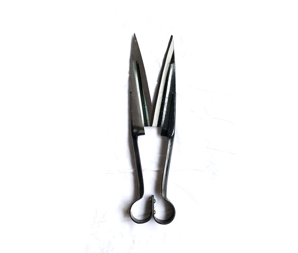 Stainless Steel Sheep Shear Clipper for Veterinary Use 315mm